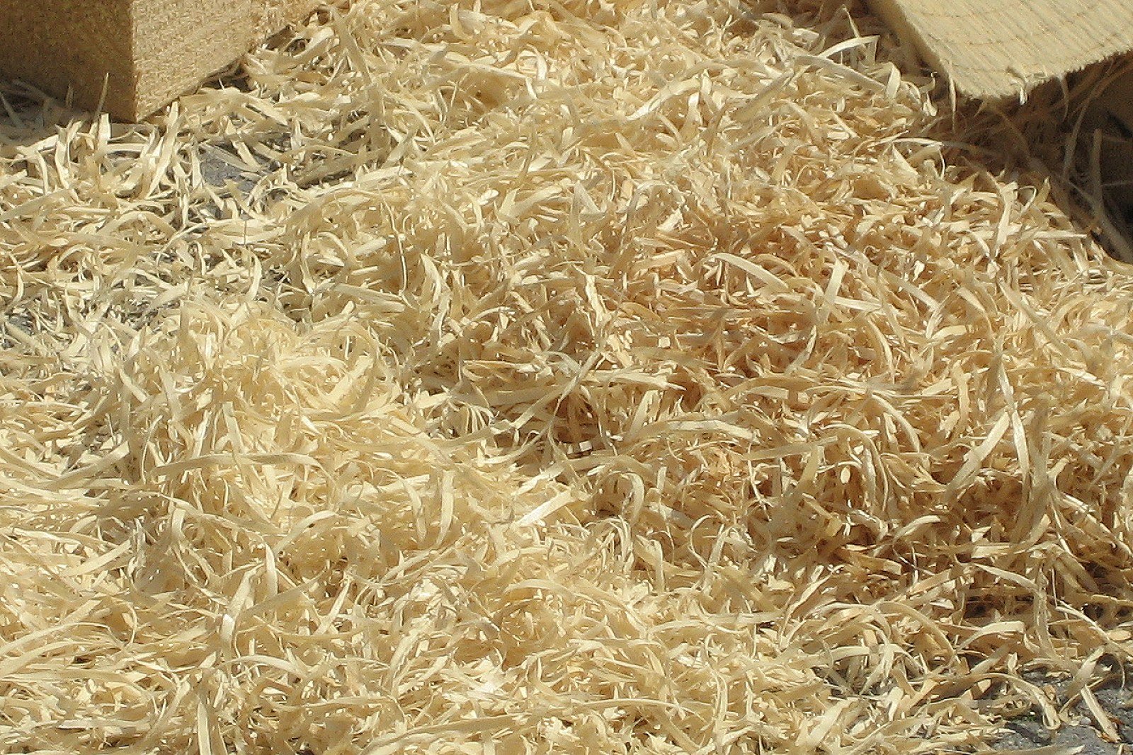 Allume-feu laine de bois