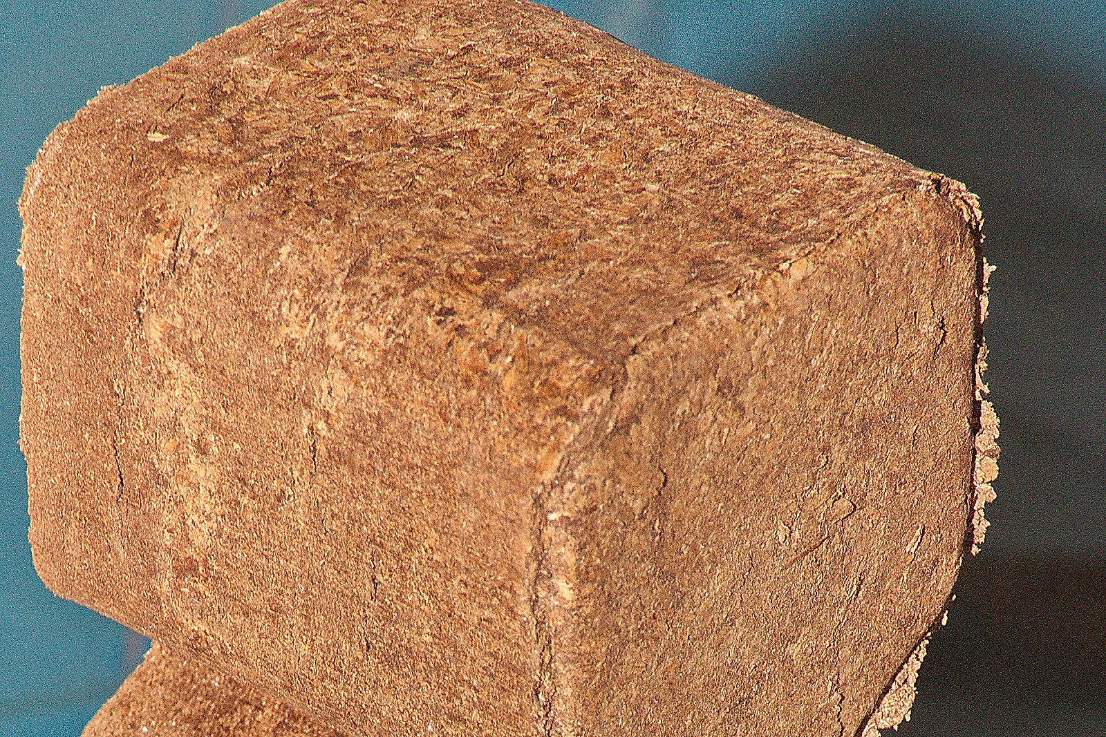 Bûches compressées premium